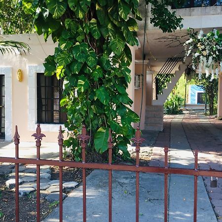 Hostal Y Camping Villa Mercedes Тисимин Экстерьер фото